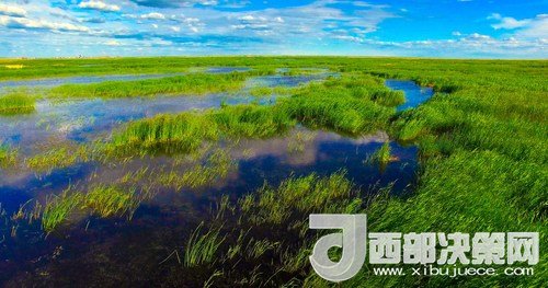 呼倫湖濕地。吳勇攝