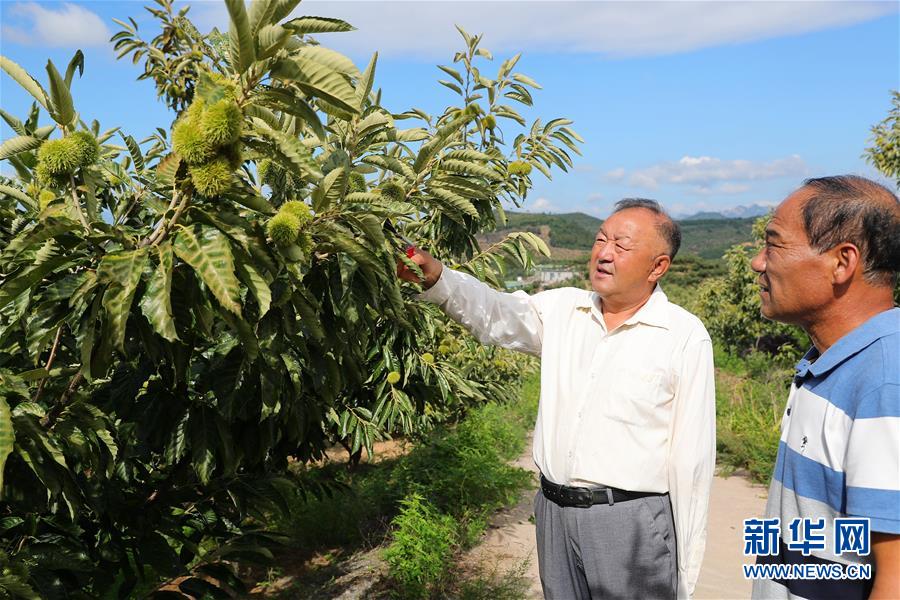 （新華全媒頭條·走向我們的小康生活·圖文互動(dòng)）（11）長(zhǎng)城腳下，小康村串成“珍珠鏈”