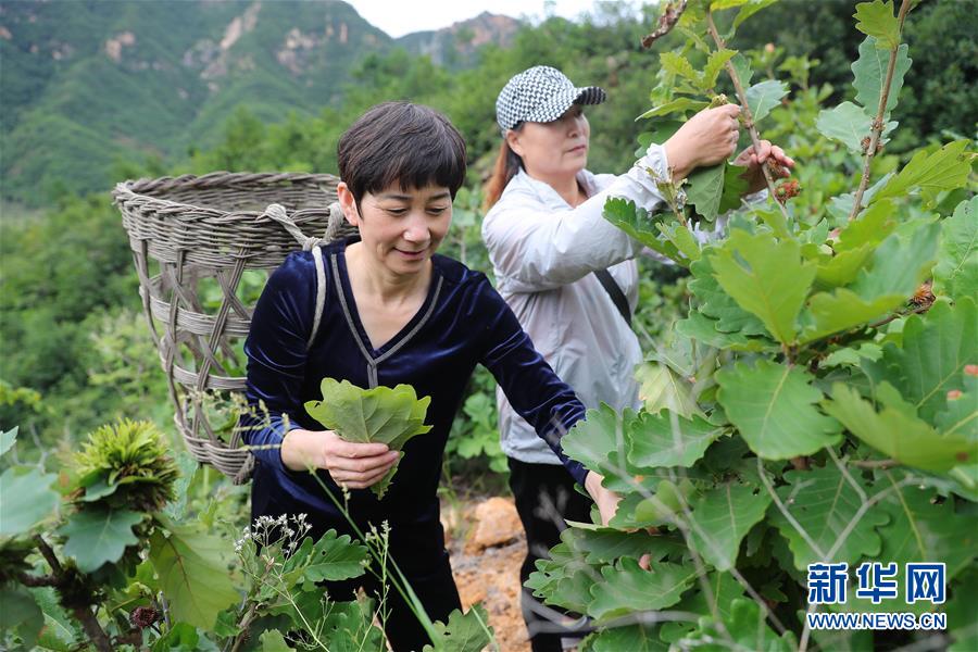 （新華全媒頭條·走向我們的小康生活·圖文互動(dòng)）（7）長(zhǎng)城腳下，小康村串成“珍珠鏈”