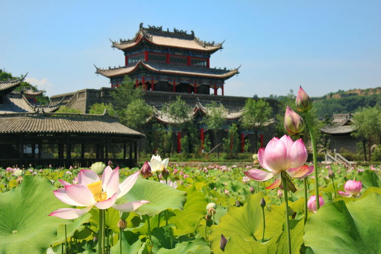 【云游渭南】心中若有桃花源，此處便是水云間！待疫情散盡，一起來渭南桃花源賞美景、觀民俗、享美食_fororder_2